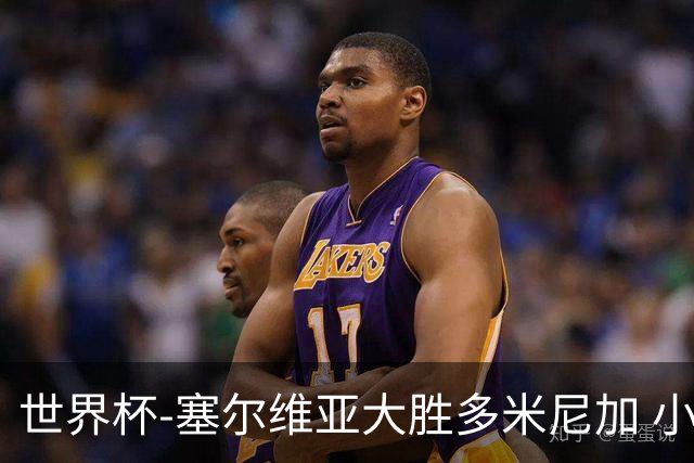 世界杯-塞尔维亚大胜多米尼加 小组第二进八强