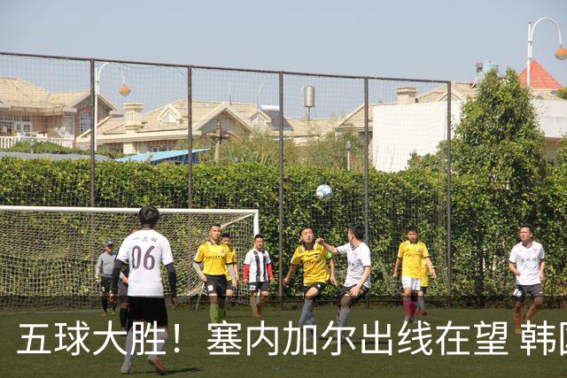 五球大胜！塞内加尔出线在望 韩国晋级仅剩理论希望