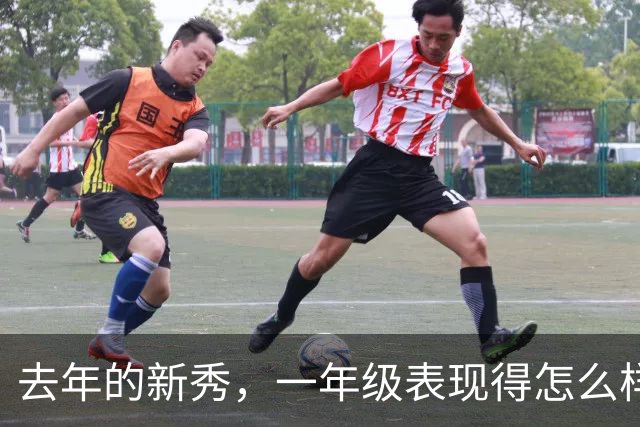 去年的新秀，一年级表现得怎么样呢【上】
